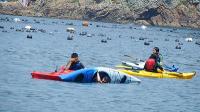 沖でワザとに「沈」