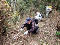 通路に伸びた薔薇の枝を摘んでいます